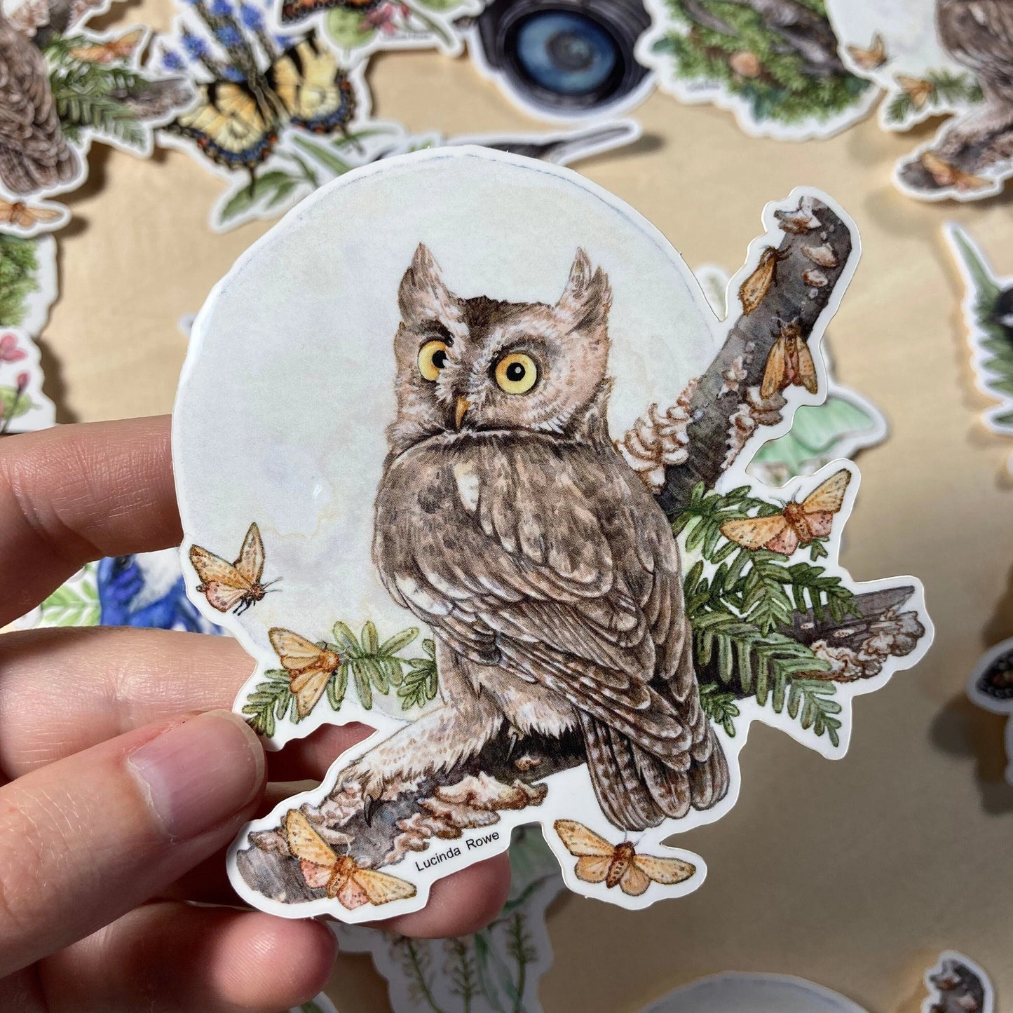 Eastern Screech Owl with Moths Vinyl Sticker