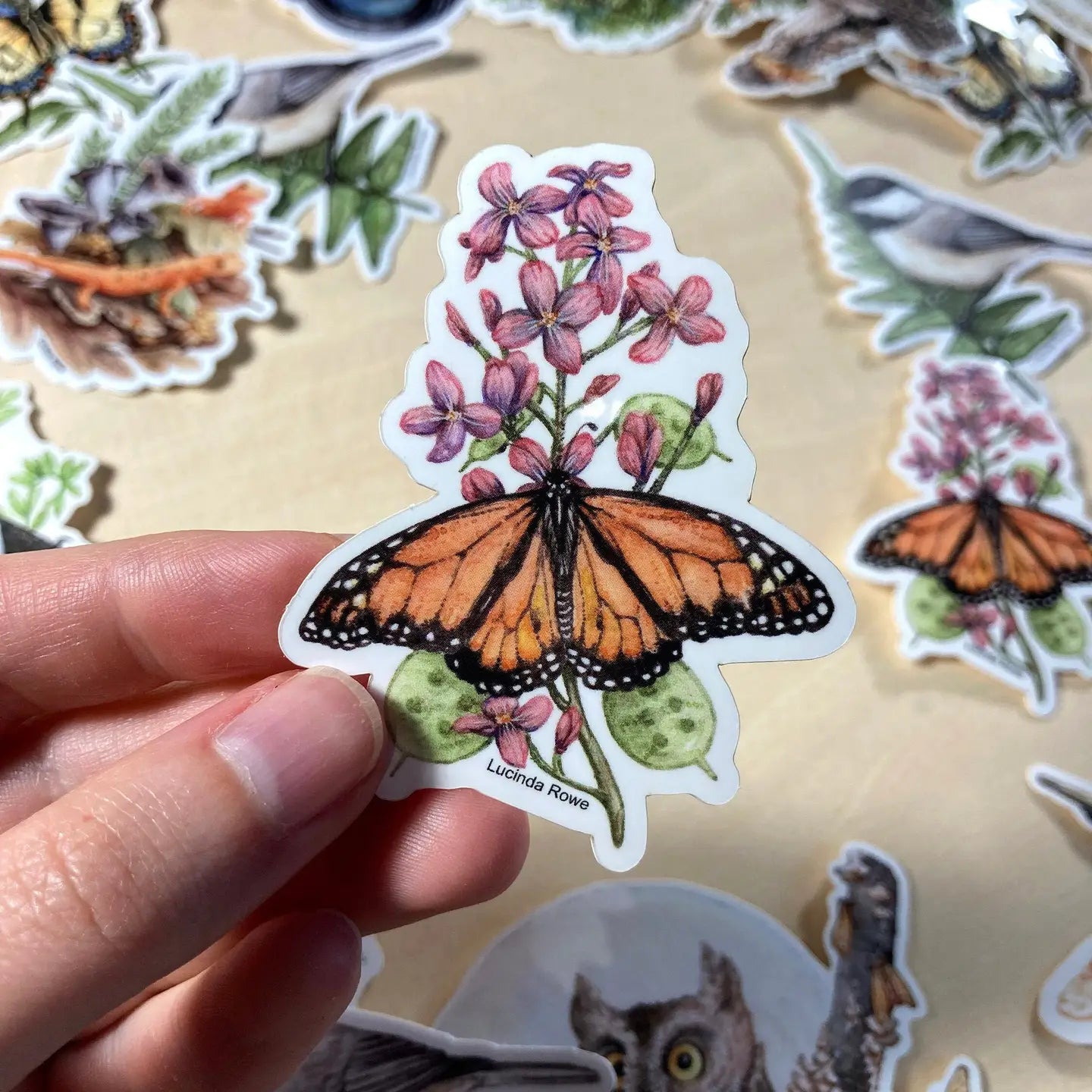 Monarch Butterfly on Honesty Vinyl Sticker