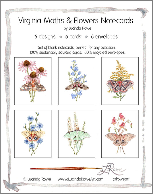 Moth & Wildflower 6 Notecard Set