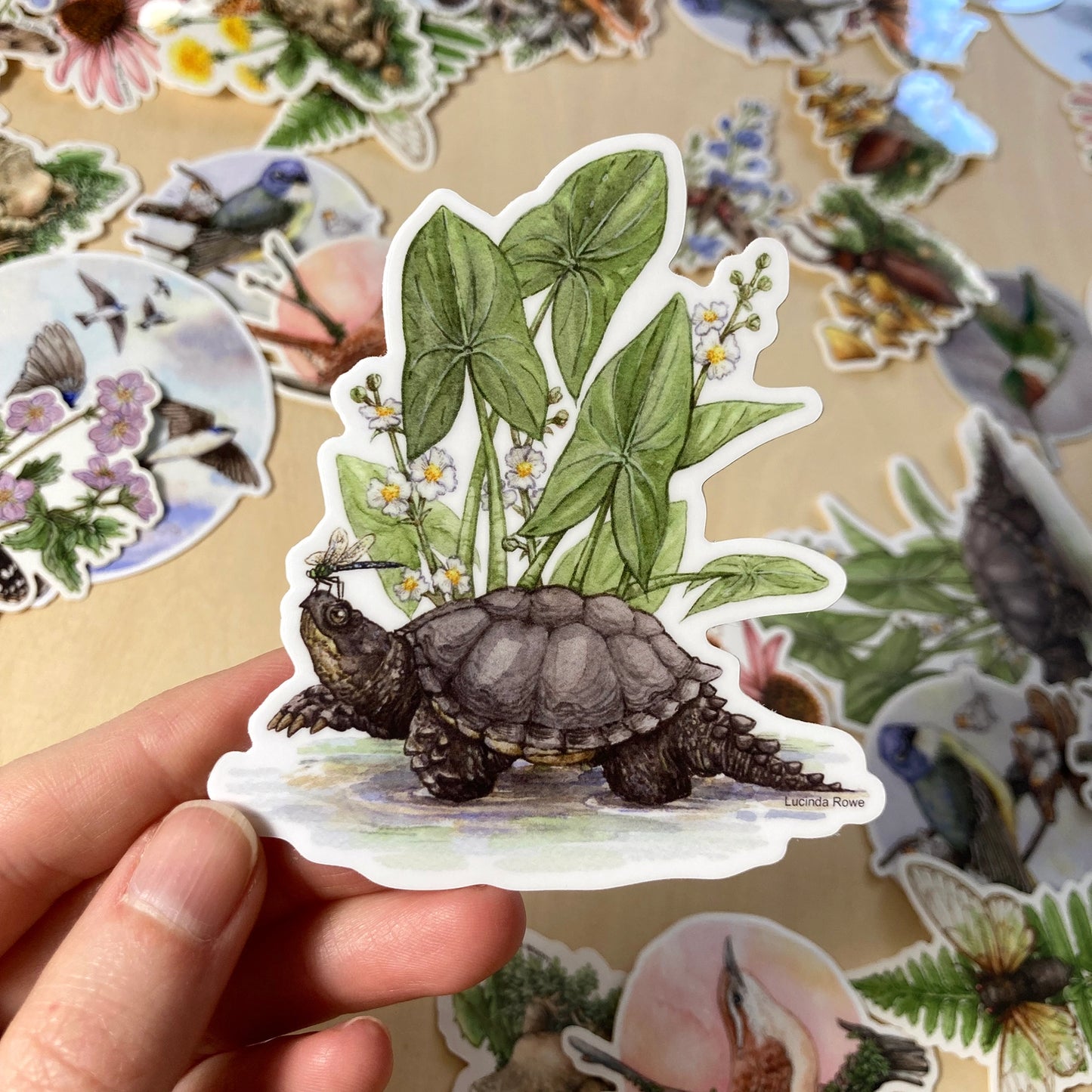 Snapping Turtle with Common Arrowhead Vinyl Sticker